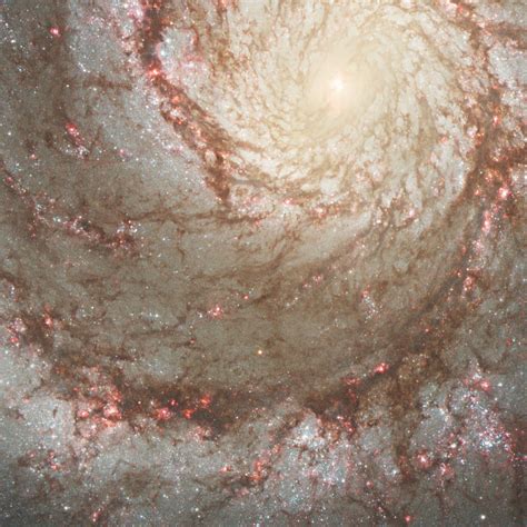 Section Of M51 With Progenitor Star Hubblesite