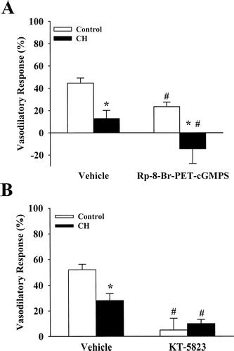 Pulmonary PKG 1 Is Upregulated Following Chronic Hypoxia American