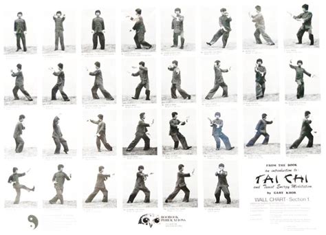 Printable Tai Chi Chart