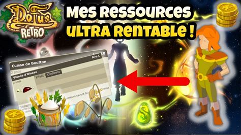 Dofus Retro Aventure De Zero Et Solo Sur Boune Mes Sources De Kamas