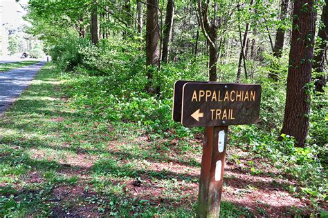 The 5 Best Hikes In Northern Virginia