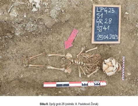 Forensic Anthropology Archaeology Bioarchaeology Fieldschool