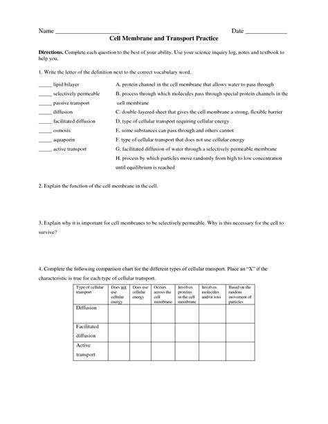 12 Best Images Of Cell Membrane Coloring Worksheet Answers Worksheeto