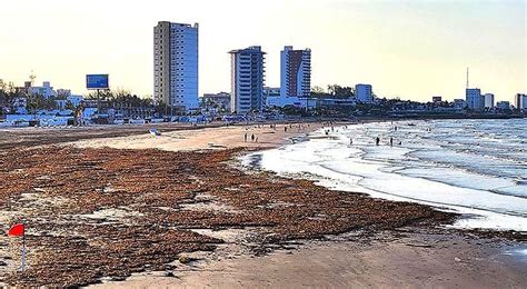 TONELADAS DE BASURA TRAE EL JAMAPA