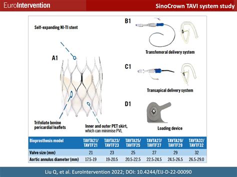 Dr Gilbert Tang On Twitter Rt Eurointerventio Ahead Of Print A