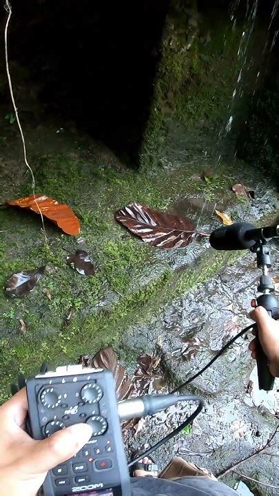 Pov Asmr In Nature Trickling Water Sound Youtube