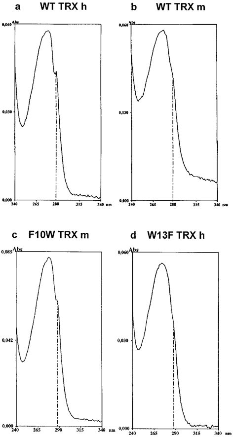 Absorption Spectra Of Wild Type And Tryptophan Mutant Thioredoxins The