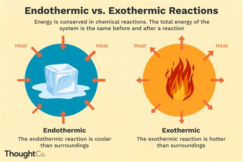 Understanding Endothermic and Exothermic Reactions | Exothermic ...