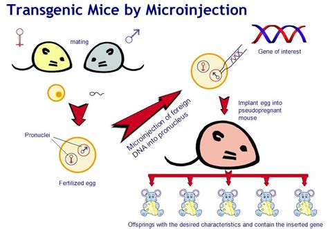 Biotechnology Agriculture