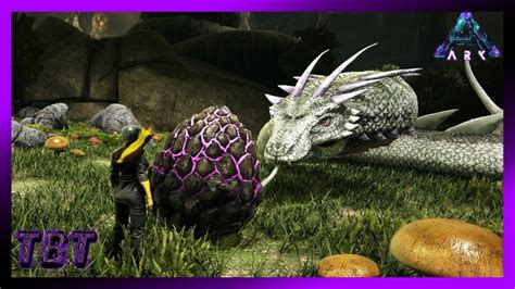 Sacrificing Rock Drake Eggs To Tame A Basilisk ARK Aberration Let S