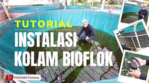 Tutorial Instalasi Kolam Bioflok Wajib Tahu Untuk Pemula YouTube