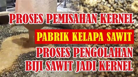 PROSES PEMISAHAN KERNEL PABRIK KELAPA SAWIT PROSES PENGOLAHAN Kernel