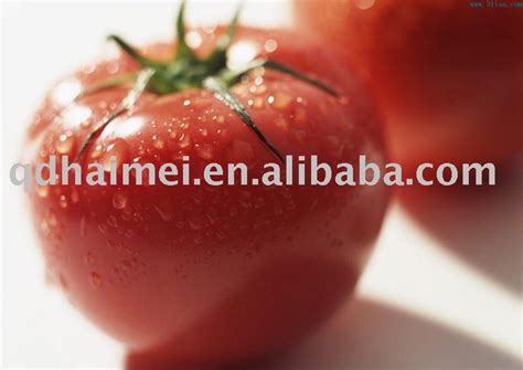 2011 Fresh Red Tomato From Chinachina Haimei Price Supplier 21food