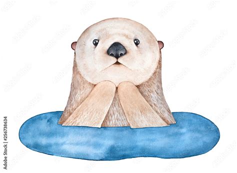 Cute Surprised Sea Otter Emerging From Water Symbol Of Faithfulness