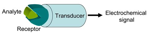 Sensors Free Full Text Electrochemical Sensors Based On Organic Conjugated Polymers