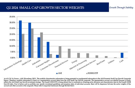 Small Cap Growth Equity Ami Asset Management Portfolio