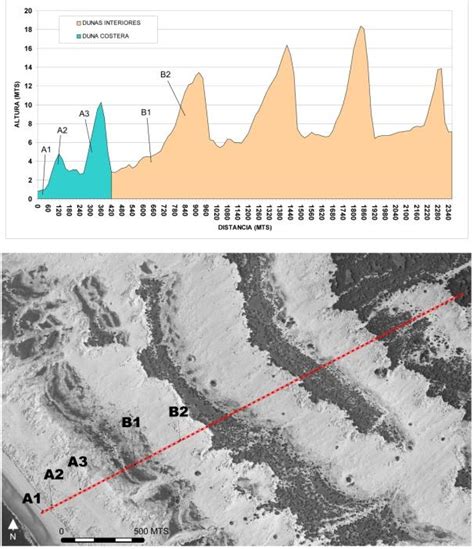 Unidades Dunares En Sistema De Dunas Activas De Do Ana A Duna