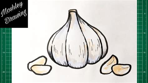 How To Draw A Garlic Step By Step Youtube