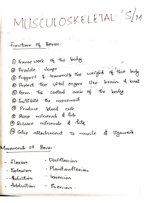 Solution Musculoskeletal System Physiology Studypool