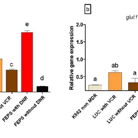 A The Intracellular Levels Of Reactive Oxygen Species Ros B