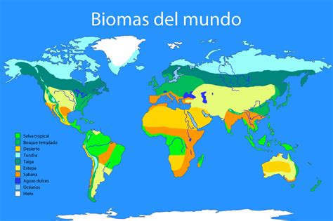 Biomas Do Mundo Mapa Fdplearn