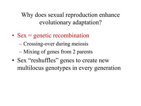 Ppt 7 The Adaptive Significance Of Of Sex Powerpoint Presentation