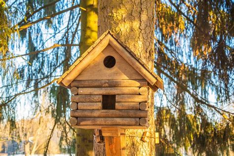 Diy Log Cabin Bird House Plans You Can Make Today With Pictures