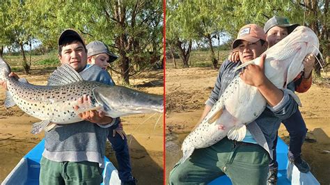 Pescó Un Gran Surubí En El Río Paraná Y Mostró En Un Video Qué Hizo Con