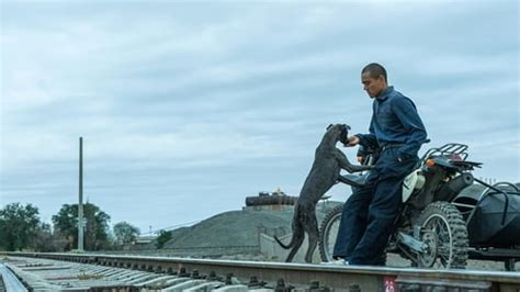 Black Dog movie review : Black Dog: a winningly absurd tale of man's best friend