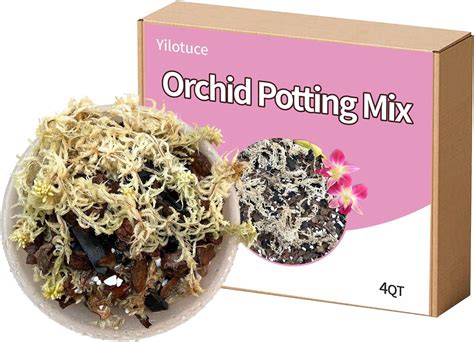 Amazon Yilotuce 1 5 Lb Organic Natural Orchid Potting Mix Great