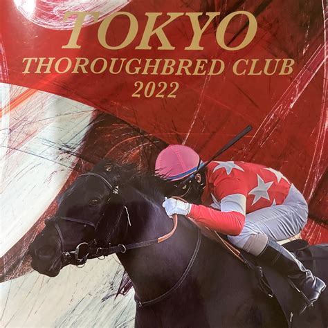 父の為にも！ハーツ産駒ルージュスエルテ入厩。 パドックで馬と会話出来る【気がしてる】男の一口馬主ブログ