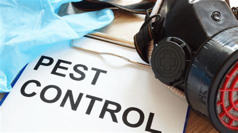 Everything You Should Know About The Importance Of Pest Control