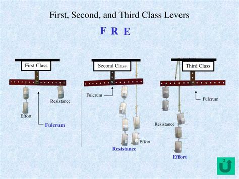 First Second And Third Class Levers