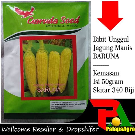 Jual Dijual Benih Jagung Manis BARUNA 50gram Bibit Jagung Manis