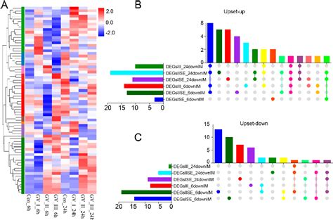 Figure 6 From Comparative Transcriptomic Analysis Revealed Potential