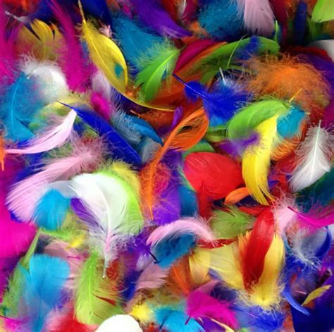 Mix color 100pcs Goose Feathers 8 12cm Goose Feather stage Plumes Feathers Washed Goose Down ...