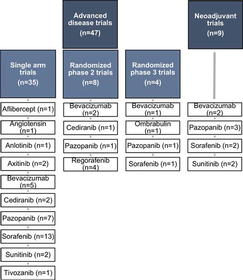 Frontiers Anti Angiogenic Agents In Management Of Sarcoma Patients