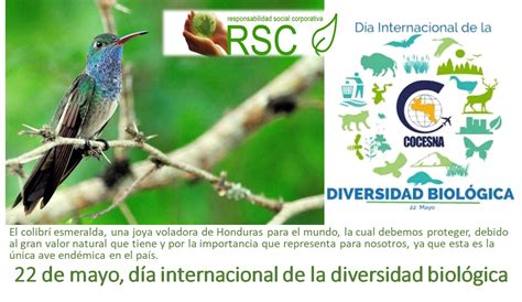 De Mayo D A Mundial De La Diversidad Biol Gica En Nuestro