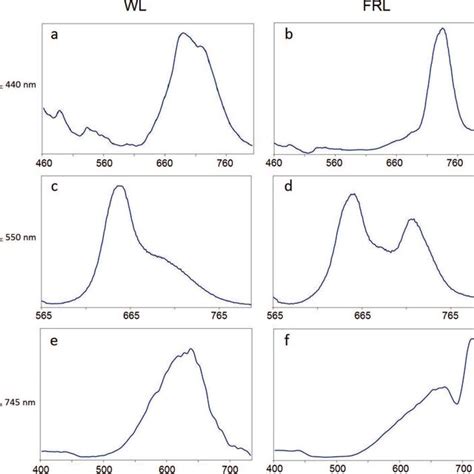 Fluorescence Spectra Of White Light Wl Grown A C Or Far Red Light Download Scientific