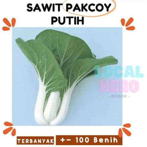 Jual Berkebun 100 Bibit Sawi Pakcoy Batang Putih Unggul Benih Sayuran