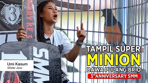 Murai Batu MINION Tampil Super Juara 1 Tiket 11Juta Bawa Pulang