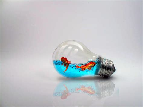 Light Bulb By Vvolny D1s0ob2 Pre By A M77 On Deviantart