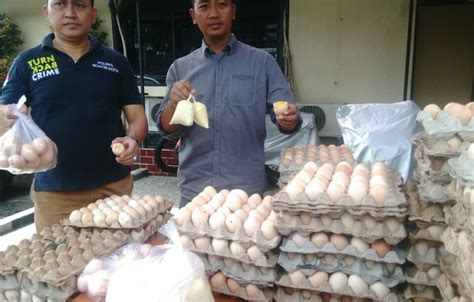 Pedagang Telur Rebus Busuk Di Bogor Raup Untung Rp Juta Per Bulan