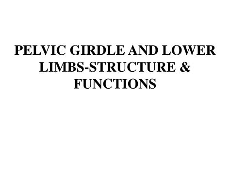 SOLUTION 17 Pelvic Girdle And Lower Limbs Structure Studypool