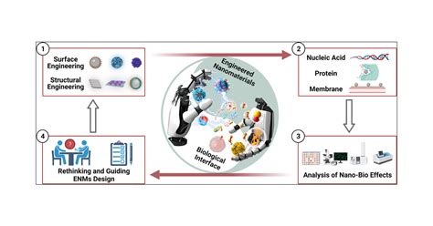 Engineering Nanobio Interfaces From Nanomaterials To Nanomedicines