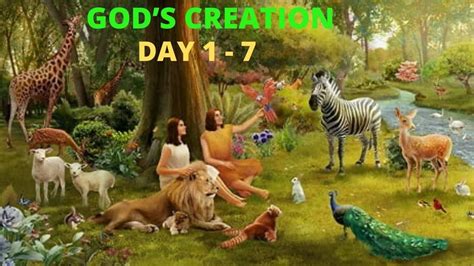 God S Creation Day 1 7 Creation Story Days Of Creation 7 Days Of