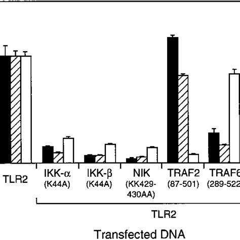 Involvement Of IL 1 And TNF Signaling Molecules In TLR2mediated NF B