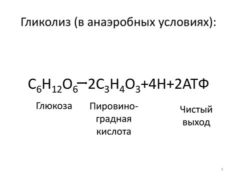 Гликолиз: последние шаги процесса - Медицина - Наука - Каталог статей ...