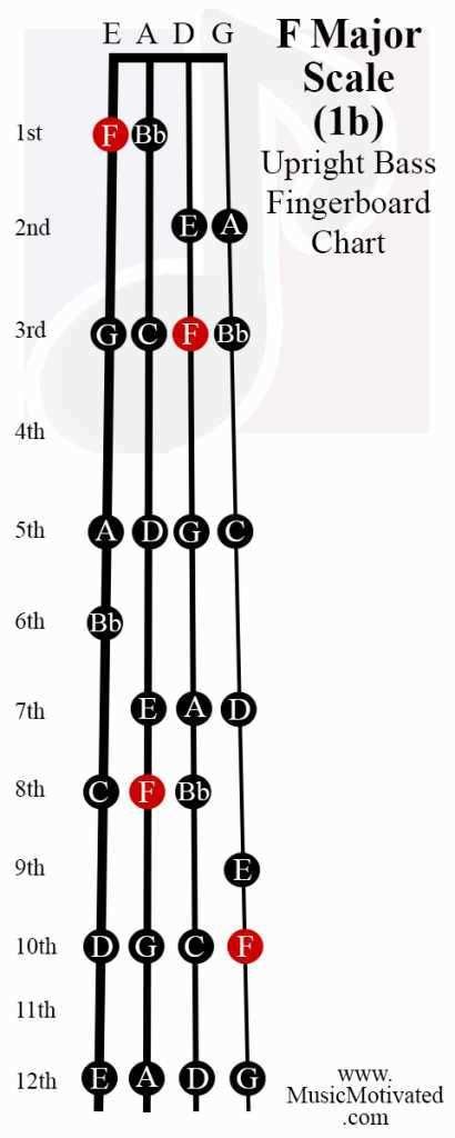 11 Ideas De Notas En El Bajo En 2021 Clases De Bajo Musica