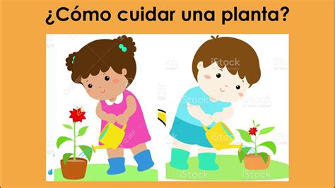 cuidado de las plantas para niños de preescolar Actividades para niños